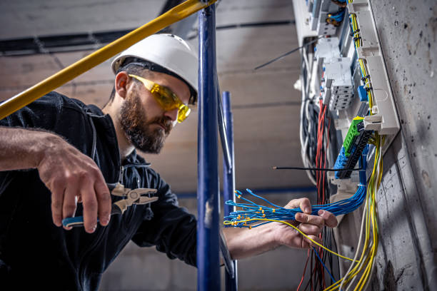 Best Electric Panel Repair  in Rosenberg, TX